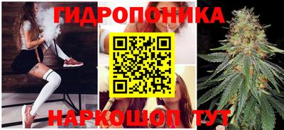 винт Будённовск